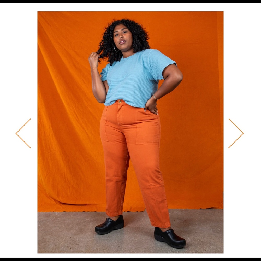 Big Bud Press Pencil Pants Size 5X Burnt Orange